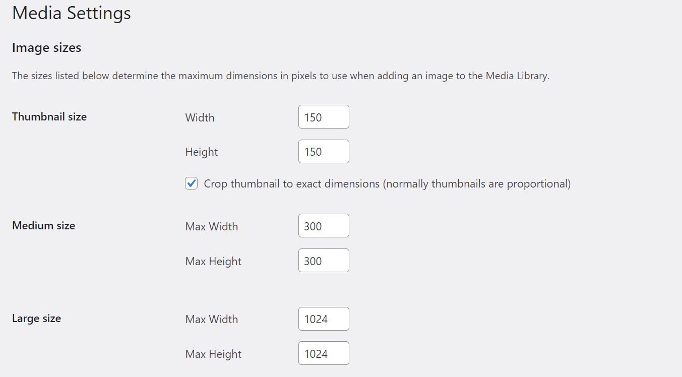 Choosing image sizes in WordPress can help optimize your images for web performance. 