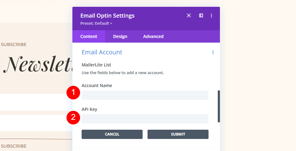 MailerLite Divi Set up Email Account Example