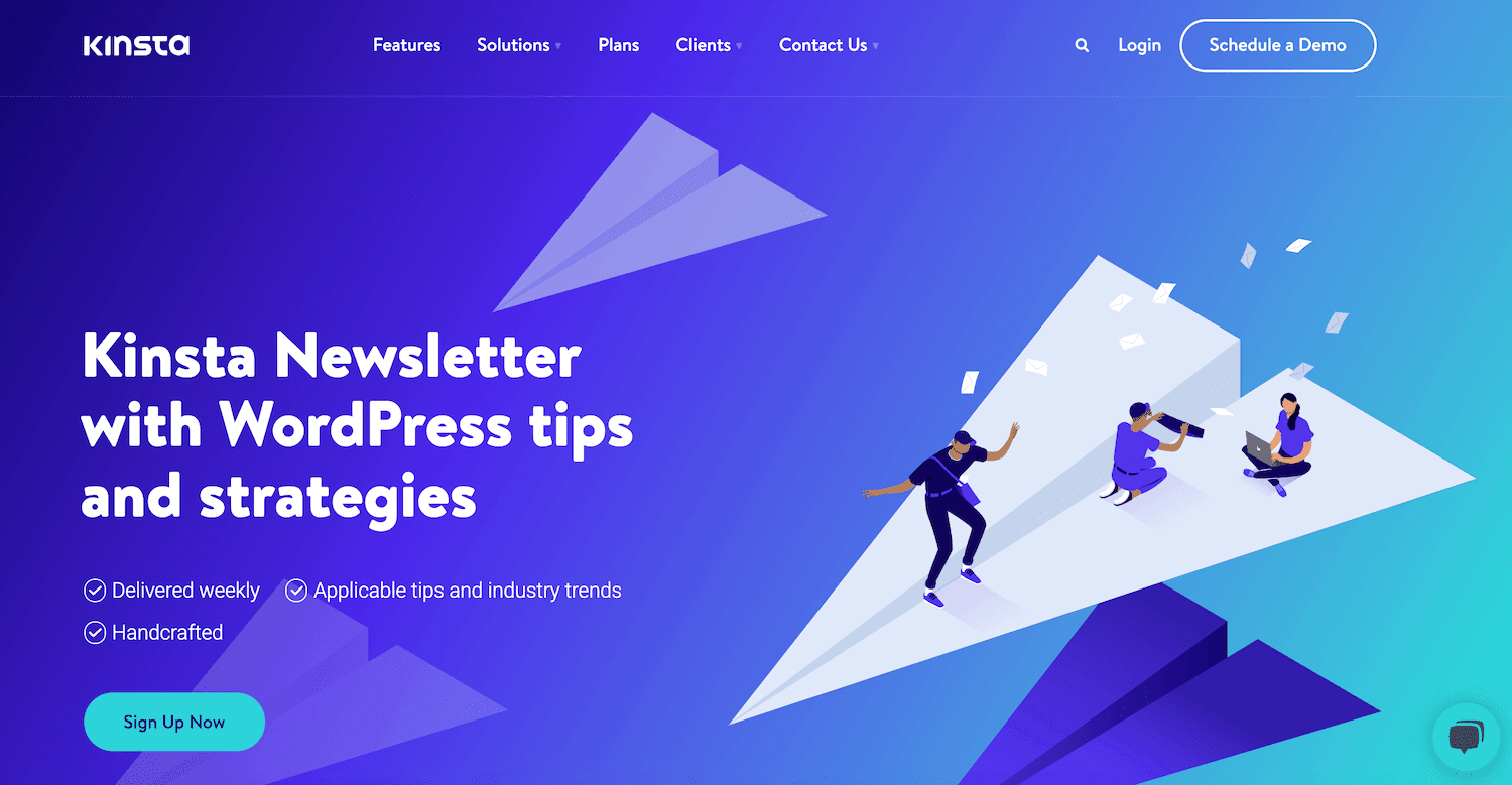 The Kinsta Newsletter page
