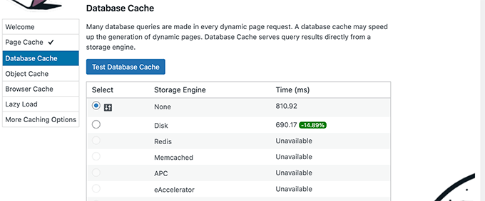 Database cache