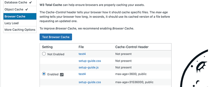 Browser cache