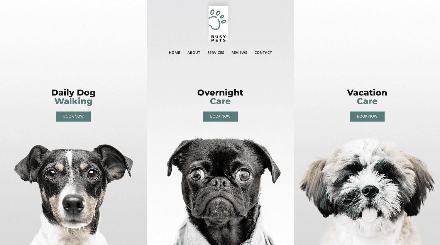 Pet Care template