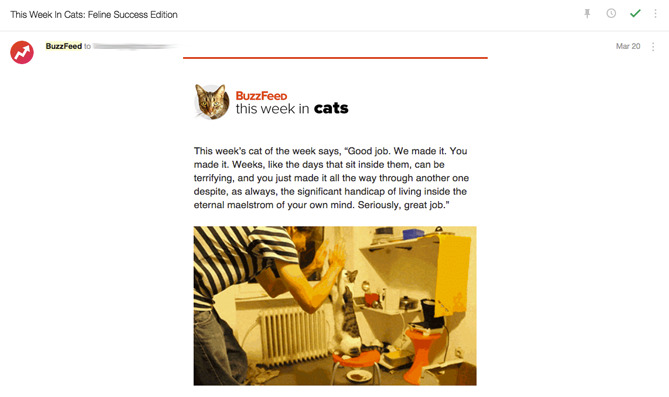 email newsletter example: buzzfeed cat newsletter