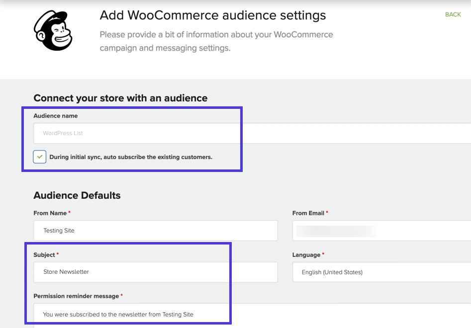 Pick the desired Audience, then complete things like the email Subject, From Name, and Permission Reminder Message