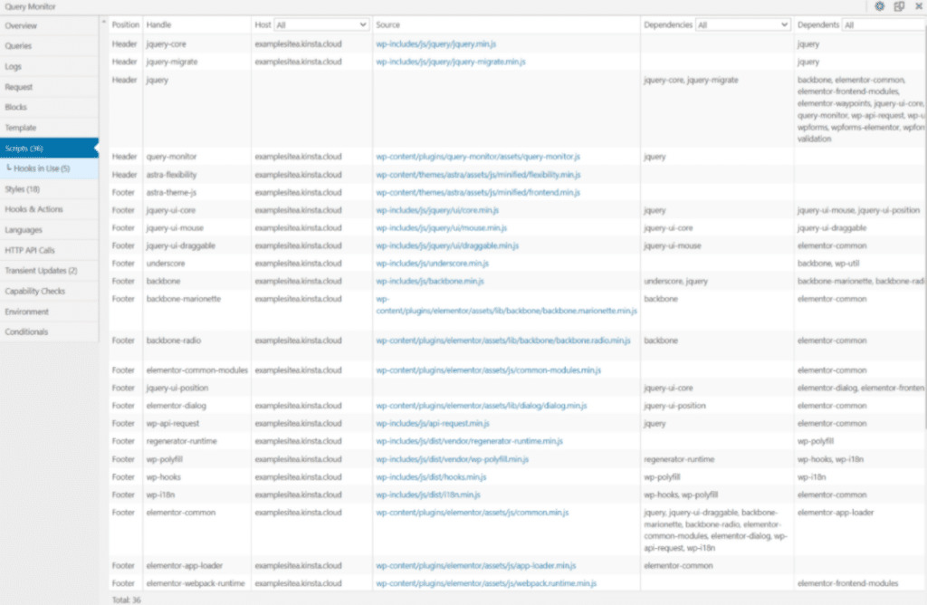 The Scripts area shows all enqueued scripts.