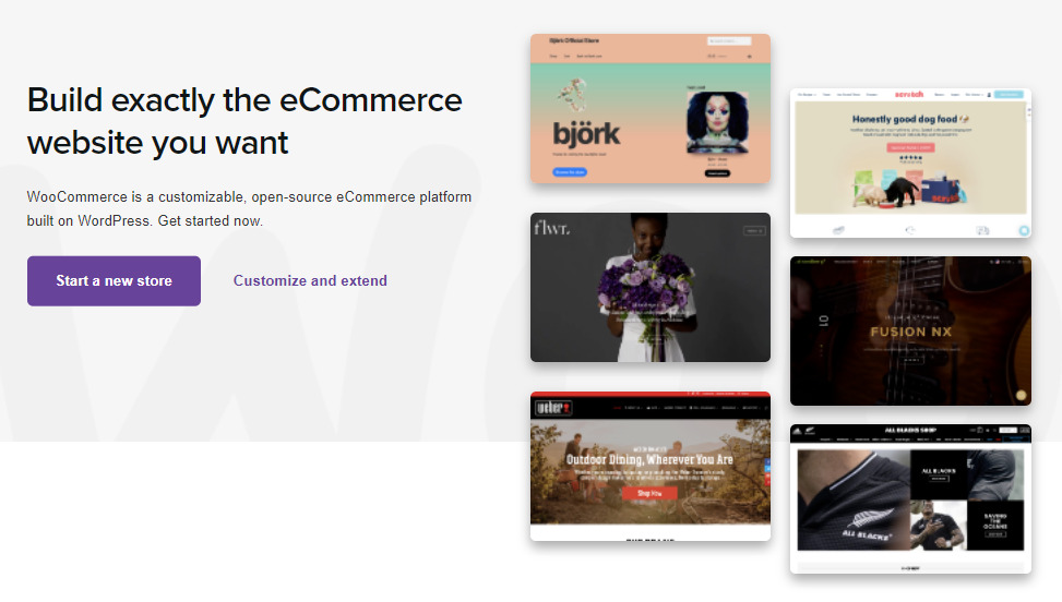 The WooCommerce homepage