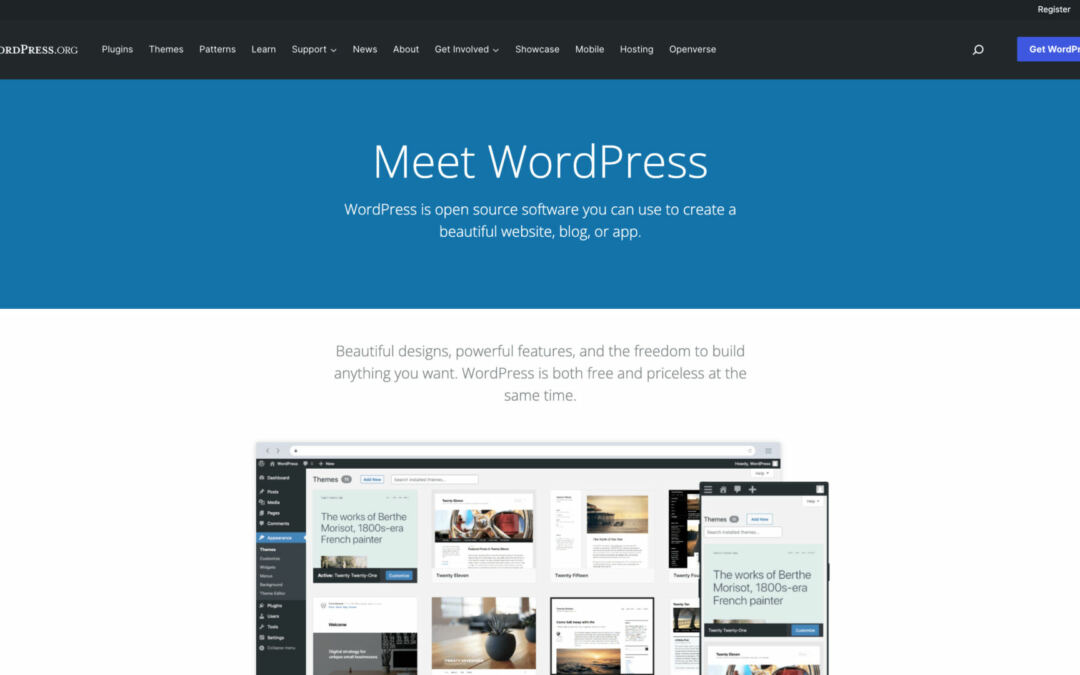 WordPress vs Duda Website online Builder