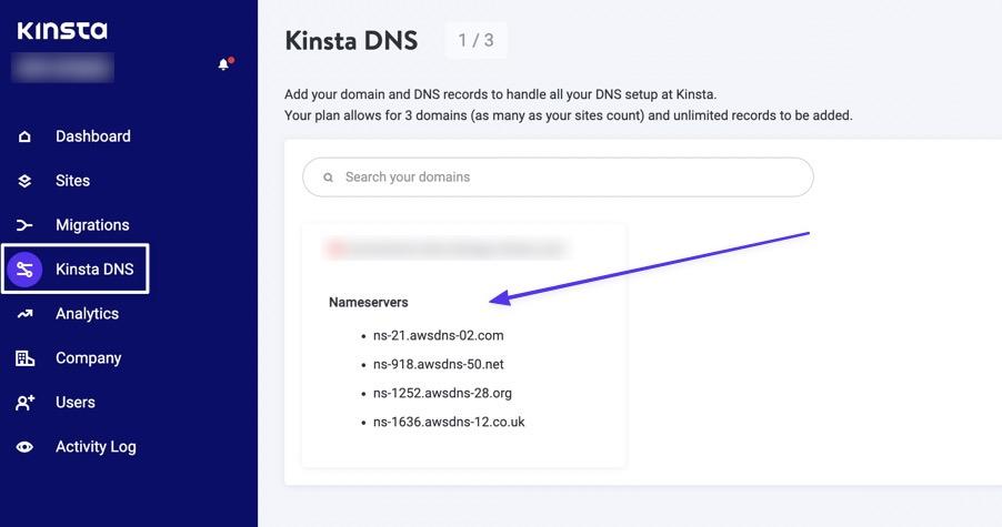 Select Kinsta DNS, then click on a domain name