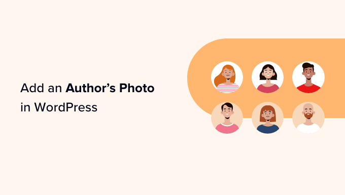 How to add an author's photo in WordPress