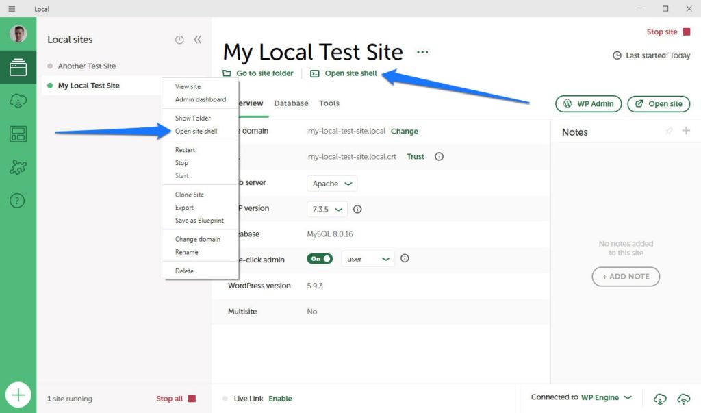 open wp cli in local