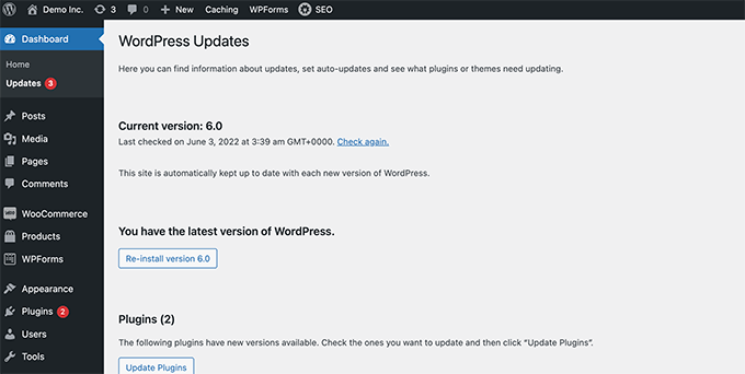 WordPress updates