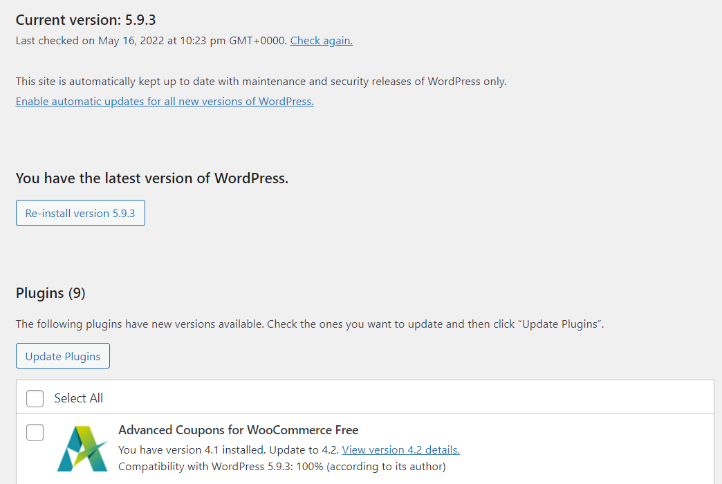 Managing updates in WordPress