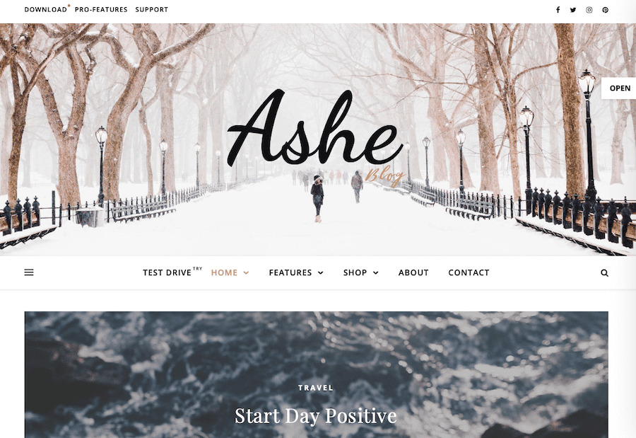 A screenshot of the Ashe WordPress theme.