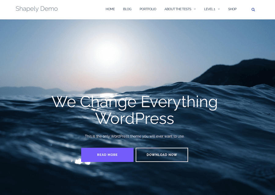 The Shapely WordPress theme’s demo offers a hero image and clear calls-to-action.