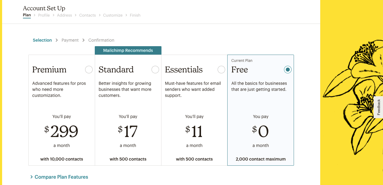 Plan options on the Mailchimp website