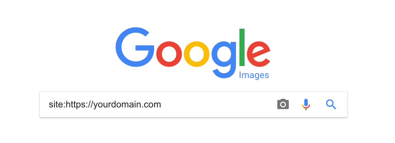 Google Image Search check indexing