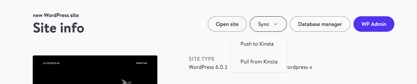 Push changes to and from Kinsta