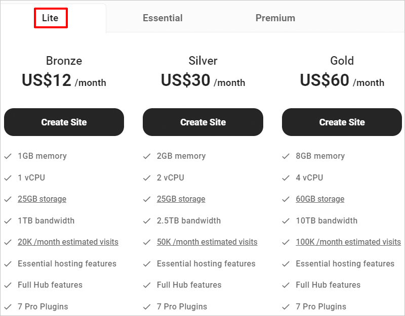 WPMU DEV Hosting Plans - Lite