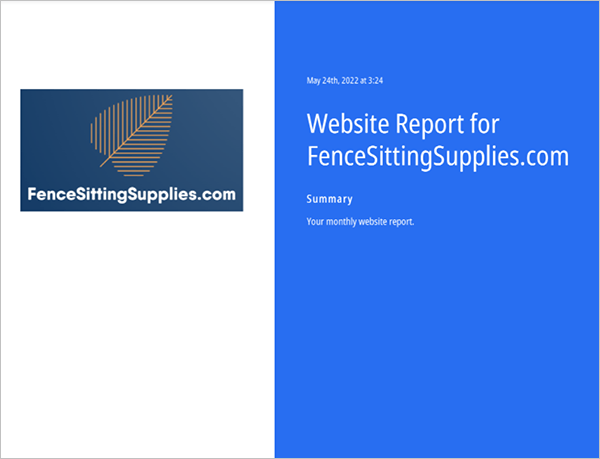 Website report sample