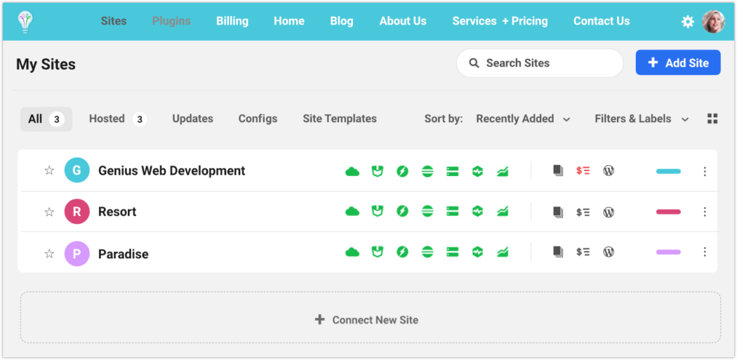 WPMU DEV The Hub Client dashboard view.