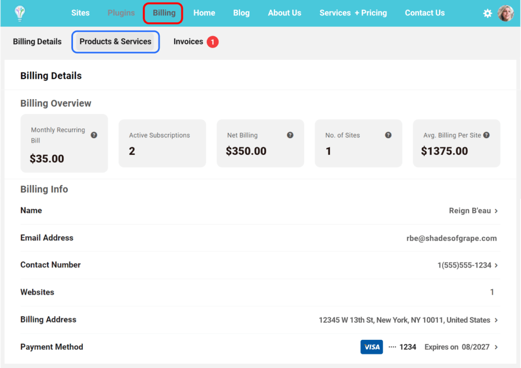 billing details client view