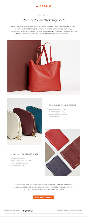 Html email inspiration; Cuyana pebbled leathered refresh bags and wallets email