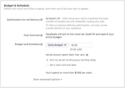 facebook ad budget and schedule page