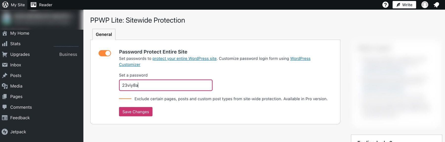 Password Protect Entire site option