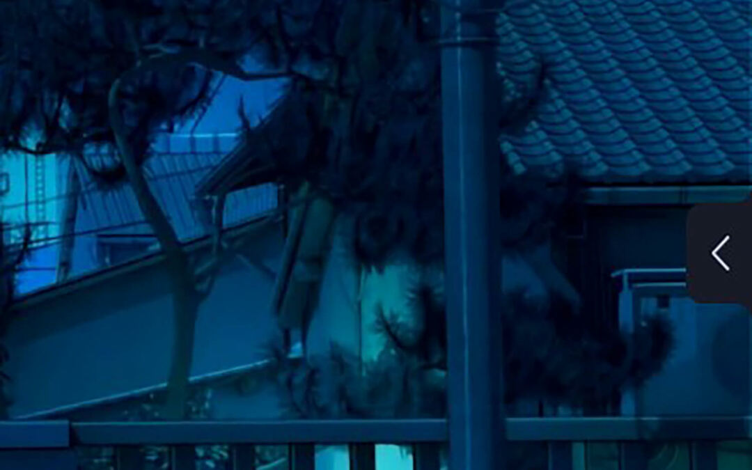 Movavi Display screen Recorder Evaluation, Options, and Worth (2023)