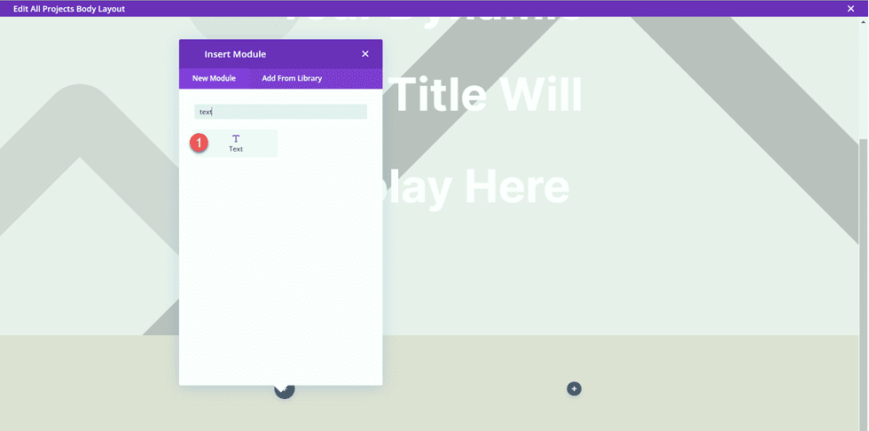 Divi Matching Portfolio and Projects Add Text Module