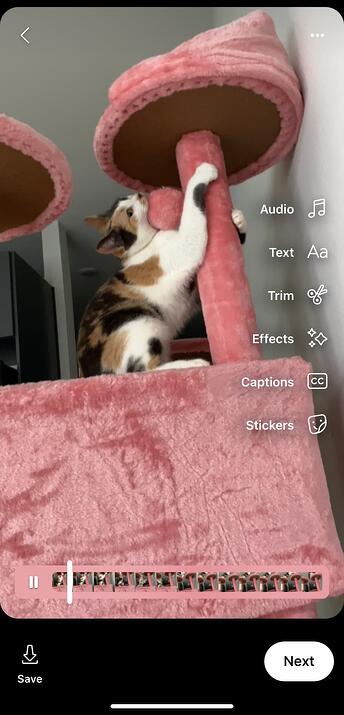 Pre-recorded video of a cat is shown as a the edit featured for pre-recorded videos is displayed