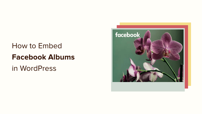 Methods to Embed Fb Albums in WordPress