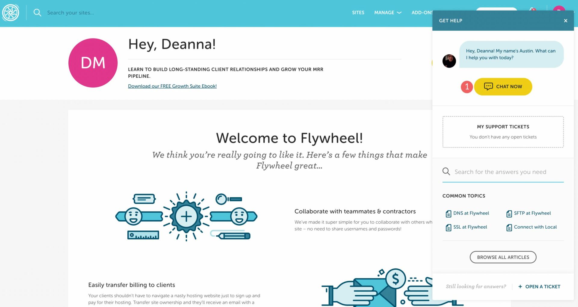 Chat with Flywheel