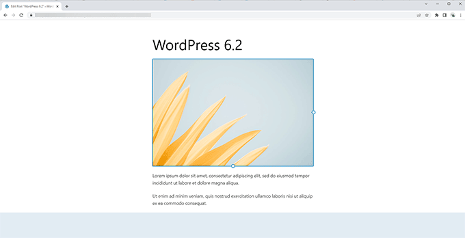 Distraction free editor in WordPress 6.2