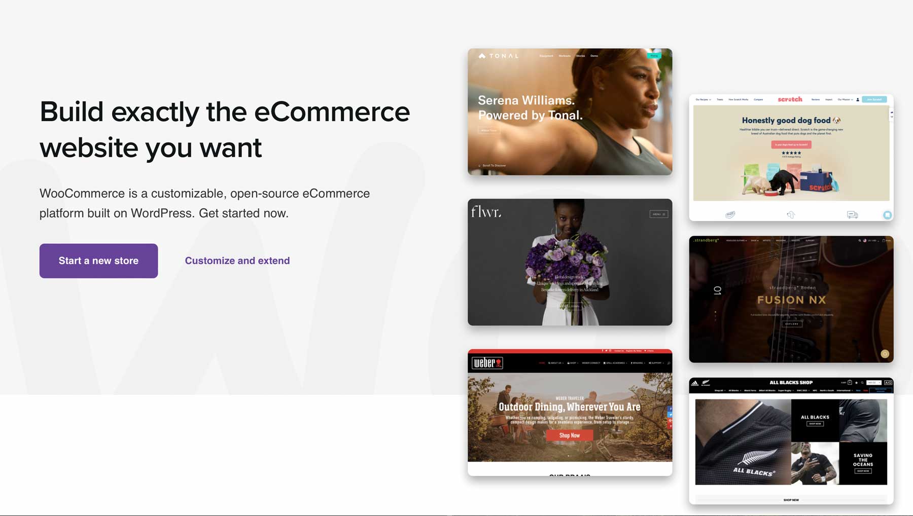 WooCommerce ecommerce plugin