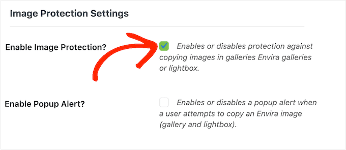 Enabling image protection for your image galleries