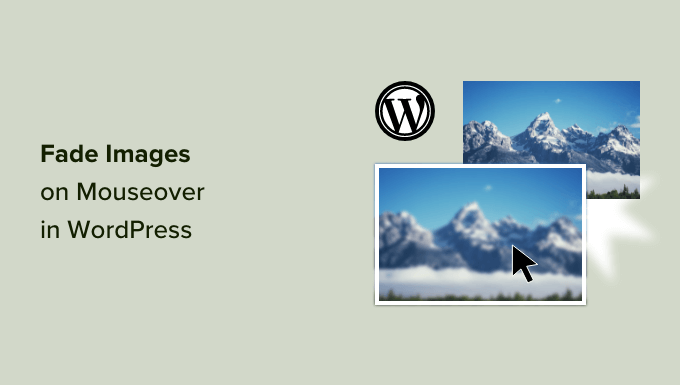 How to fade images on mouseover in WordPress