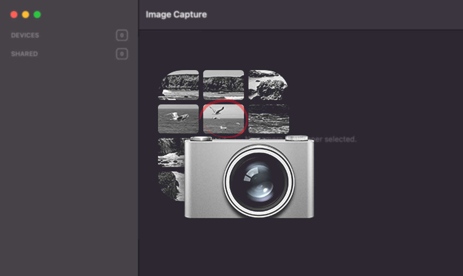 Image Capture app