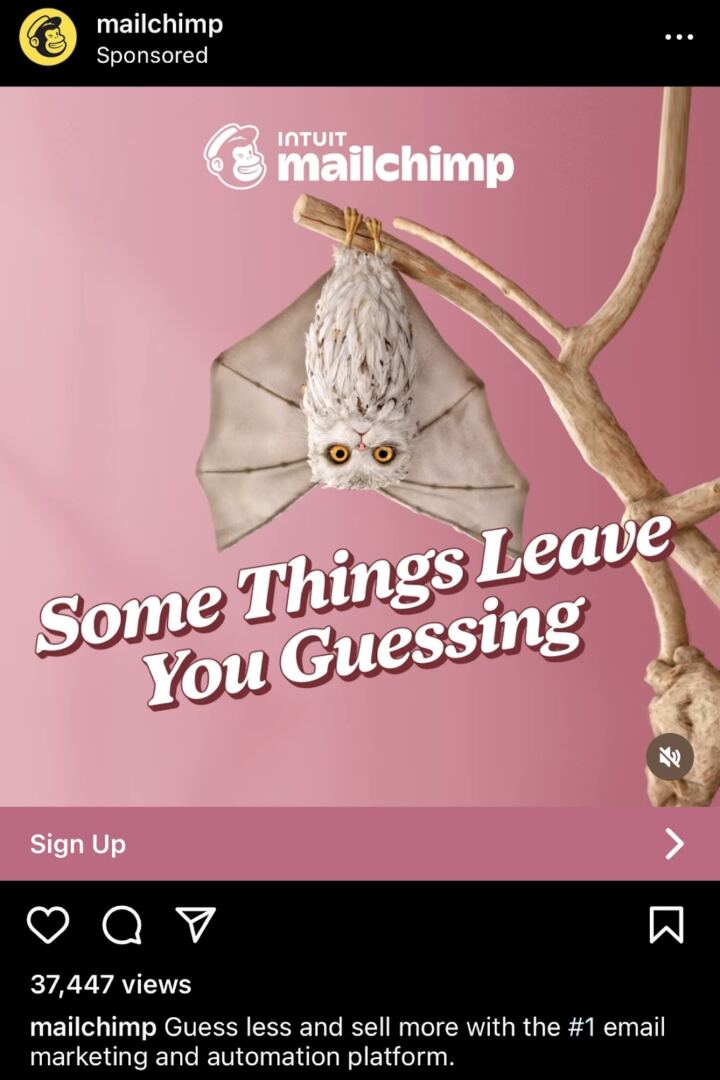 A Mailchimp ad served on Instagram