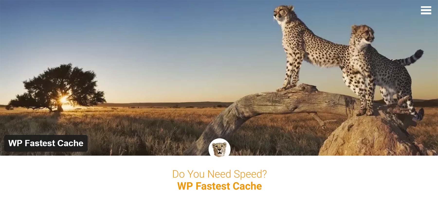 WP Fastest Cache