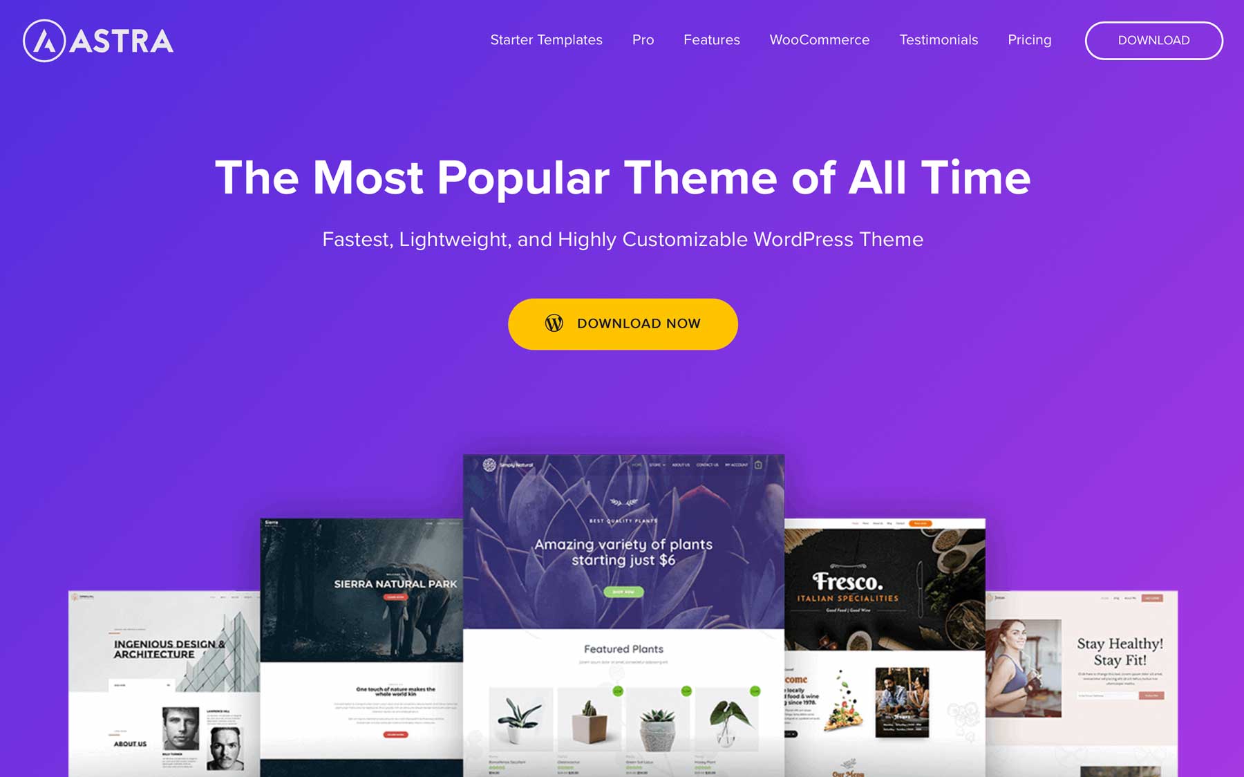 Astra ecommerce WordPress theme