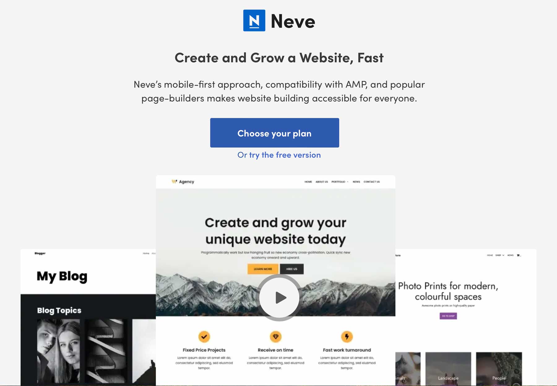 Neve ecommerce theme