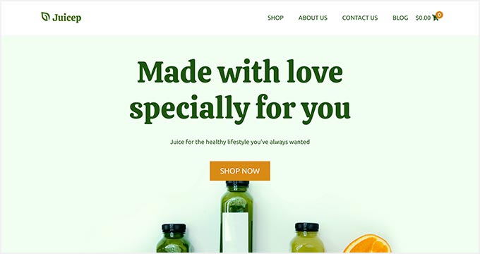 SeedProd recipe blog theme