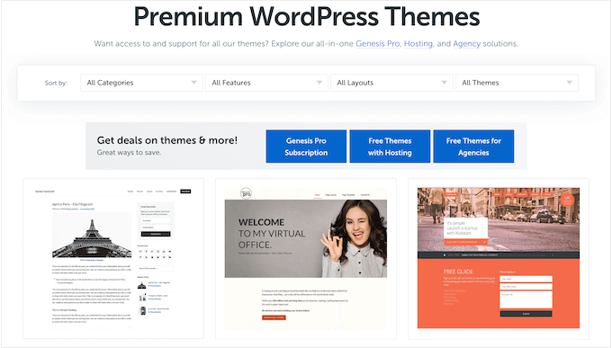 An example of a premium WordPress theme marketplace
