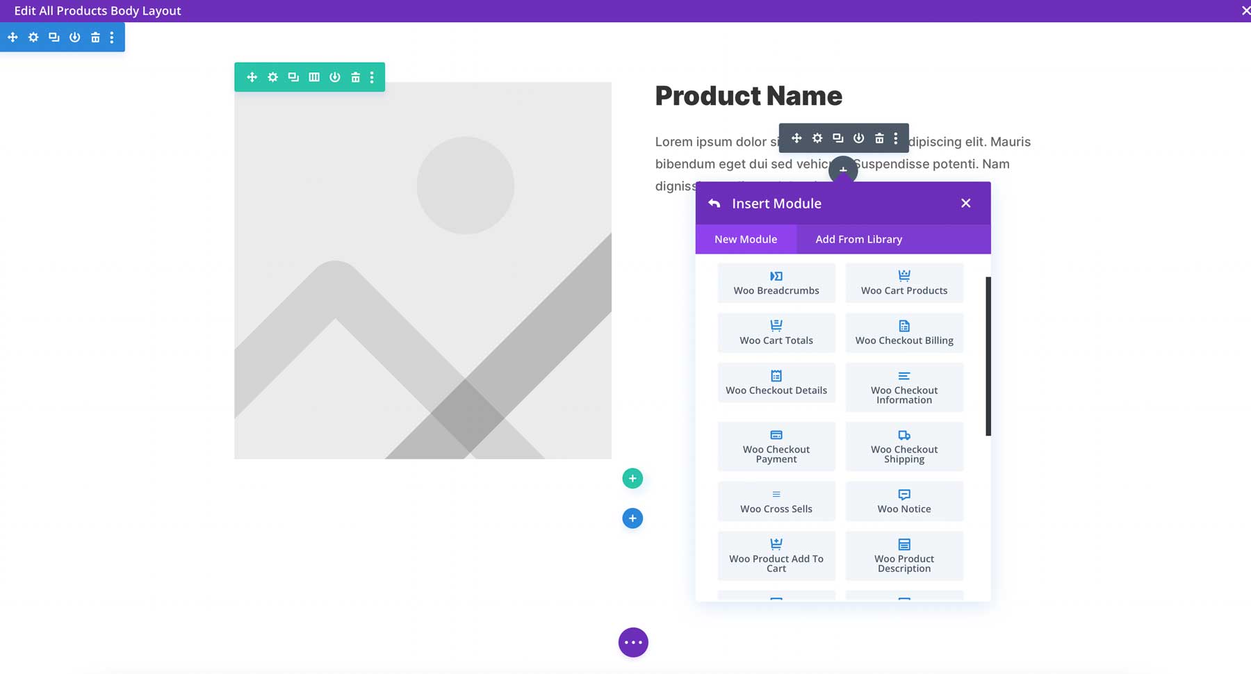 Divi WooCommerce modules