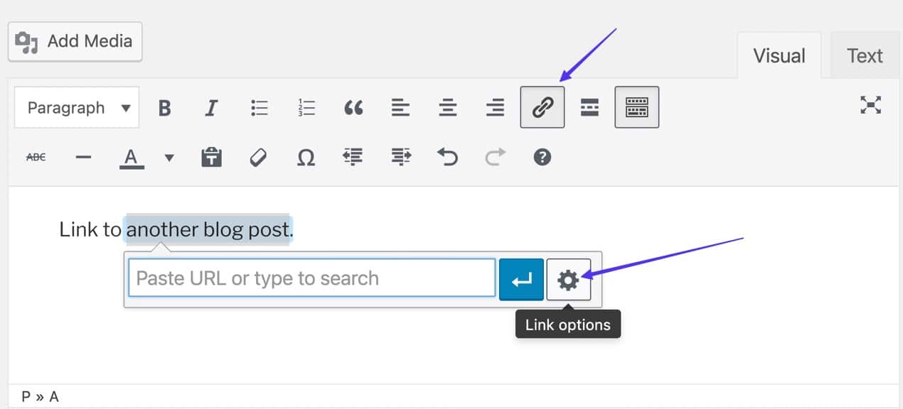 highlighted text and clicking the Link Options tab