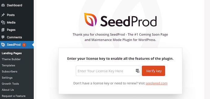 Adding the SeedProd license key to your WordPress website