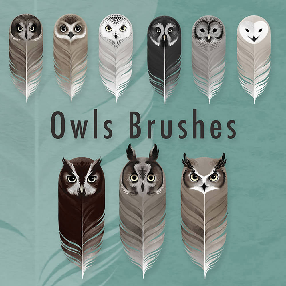 Owls Photoshop Brushes