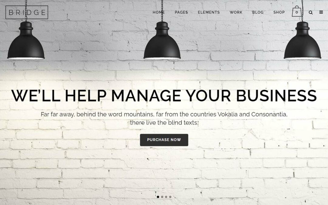 11 Highest Portfolio WordPress Topics in 2023 (Reviewed)