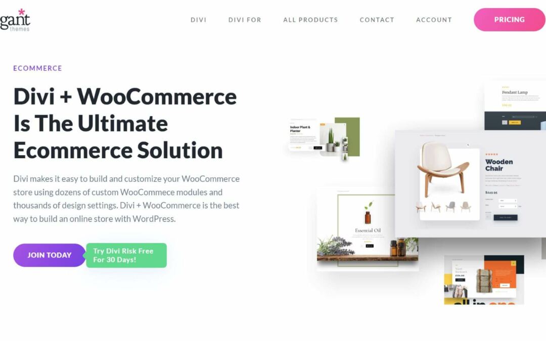 10 Absolute best WooCommerce WordPress Topics in 2023 (Reviewed)